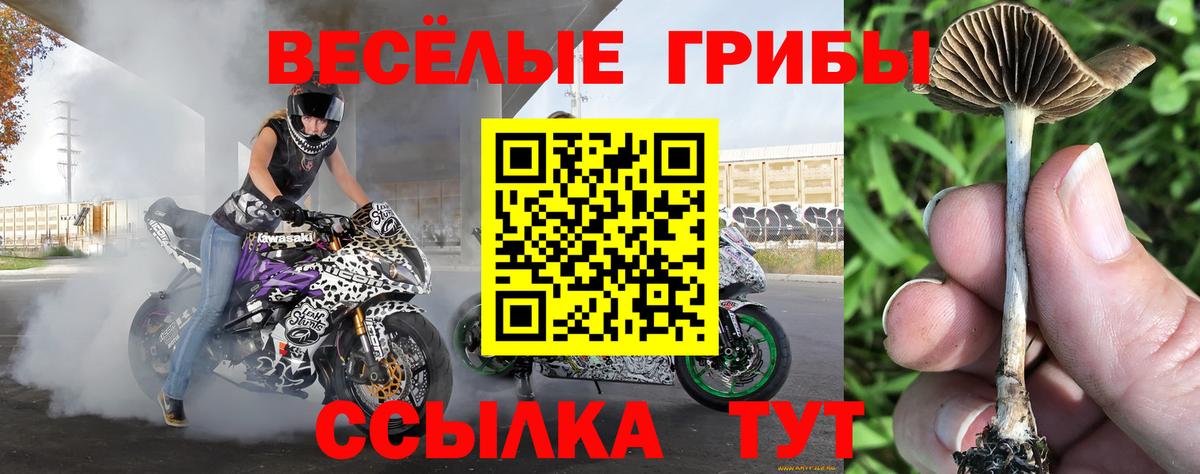 Псилоцибиновые грибы GOLDEN TEACHER  Вход с VPN  Среднеуральск 